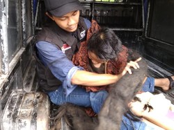 Perjuangan Relawan Potong Rambut Sukiyah yang 27 Tahun Tak Mandi