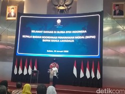 BKPM dan BEI Gaet Perusahaan Asing Melantai di Bursa
