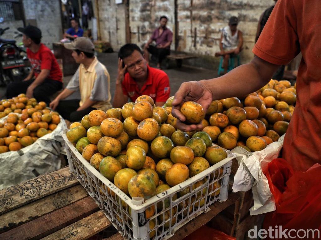 Corona Nggak Ngefek! Buah RI Tetap Eksis di Pasar ASEAN hingga Arab Corona Nggak Ngefek! Buah RI Tetap Eksis di Pasar ASEAN hingga Arab