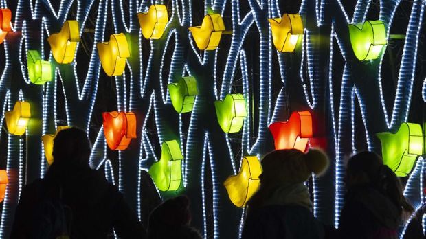 A light installation during the festival 'Magic light worlds' (Magische Lichterwelten) under the theme 'Myths, fairy tales & legends' at the zoo park in Halle (Saale), central Germany, Saturday, Jan. 25, 2020. Chinese lantern artist created more than 300 different light sculptures for the zoo. The festival can be seen until March 15, 2020. (AP Photo/Jens Meyer)