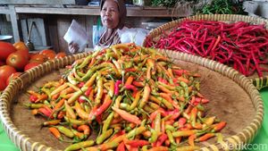 Harga Cabai di Kulon Progo Tembus Rp 80.000/Kg