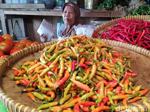 Harga Cabai di Kulon Progo Tembus Rp 80.000/Kg