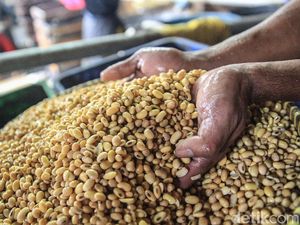Bukti RI Kecanduan Impor Kedelai, 2010-2020 Nggak Pernah Absen! Bukti RI Kecanduan Impor Kedelai, 2010-2020 Nggak Pernah Absen!
