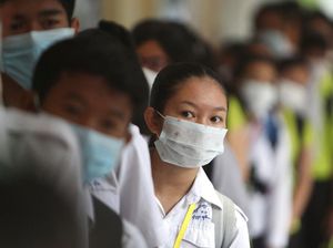 Jahe-Temulawak Bukan Penangkal Virus Corona, Tapi Bisa Jaga Imun Tubuh Jahe-Temulawak Bukan Penangkal Virus Corona, Tapi Bisa Jaga Imun Tubuh