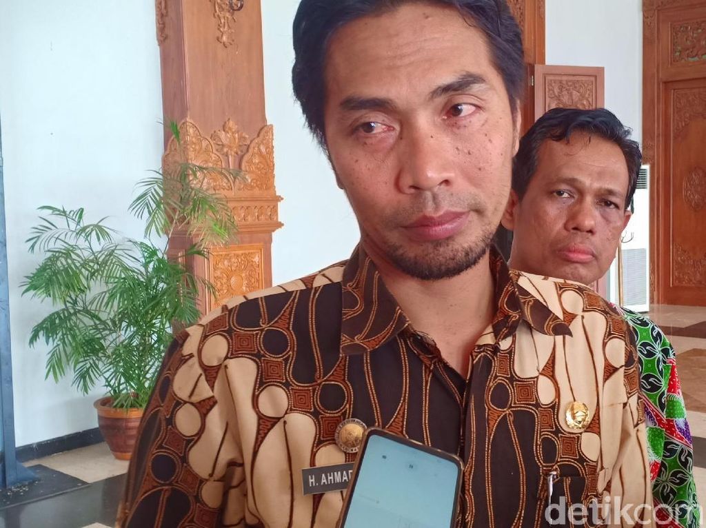 Jadi Pusat Porang Indonesia, Madiun Siapkan Lahan 1.600 Hektare Jadi Pusat Porang Indonesia, Madiun Siapkan Lahan 1.600 Hektare