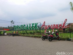 Trenggalek Agropark, Wisata Edukasi dan Rekreasi di Tengah Kota