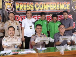 Polisi Gagalkan Penyelundupan Bibit Lobster Senilai Rp 4,5 Miliar