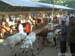 Hadang Antraks, Pemkab Gunungkidul Mengkaji Penutupan Pasar Hewan