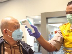 Minum Jahe Merah Rutin, Bisa Hindari Virus Corona?