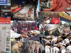 5 Fakta Pasar Seafood Huanan di Wuhan yang Disebut Asal Virus Corona