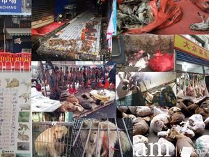 5 Fakta Pasar Seafood Huanan di Wuhan yang Disebut Asal Virus Corona 5 Fakta Pasar Seafood Huanan di Wuhan yang Disebut Asal Virus Corona