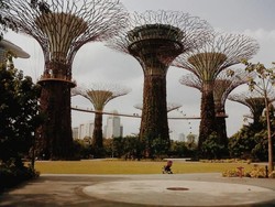 Bermodal Rp 300 Ribu Saja, Bisa Keliling Singapura