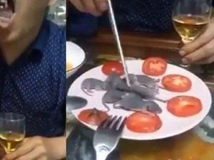 Makan Bayi Tikus dan Pasar Tomohon yang Dikaitkan dengan Virus Corona Makan Bayi Tikus dan Pasar Tomohon yang Dikaitkan dengan Virus Corona