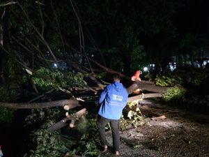23 Pohon Tumbang di 5 Kecamatan Padang, Rumah-Warung Tertimpa