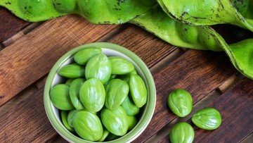 Petai untuk Pengidap Asam Urat, Boleh atau Tidak? Ini Kata Dokter Petai untuk Pengidap Asam Urat, Boleh atau Tidak? Ini Kata Dokter