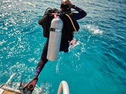 Dicari! Lima Orang yang Mau Liburan Gratis di Pulau Ini