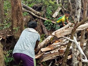 Satgas Yonif 755 Kostrad Bantu Buka Lahan Pertanian di Papua
