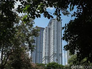 Pak Anies, Jakarta Butuh 30 Persen RTH Lho! Pak Anies, Jakarta Butuh 30 Persen RTH Lho!