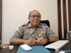 BBVet Wates: 67 Sapi Mati Mendadak di Gunungkidul, 3 Positif Antraks