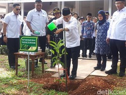 Pulihkan Lingkungan Lebak Pasca-longsor, Maruf Amin Tanam Bibit Jambu
