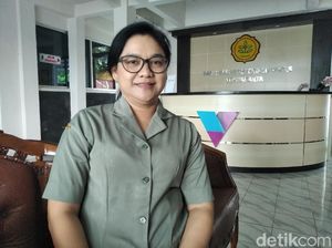 Distemper Penyebab 27 Kucing Mati Mendadak Tak Menular ke Manusia