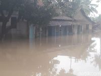 Berita Dan Informasi Cilegon Banjir Terkini Dan Terbaru Hari Ini - Detikcom