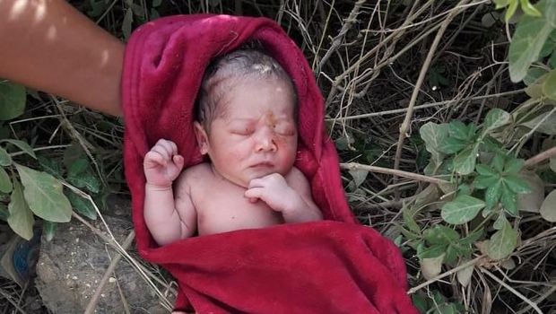Bayi yang dibuang pasangan muda di Jayapura, Papua