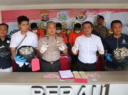 Polisi Tangkap 3 Spesialis Pencuri Sarang Walet Senilai Rp 100 Juta di Berau