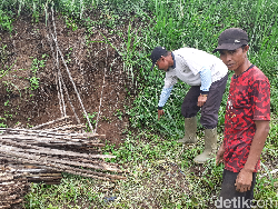 Geger ABG Perempuan Berlumuran Darah di Perkebunan Tomat Cimahi