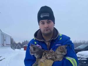 Cerita Petugas Minyak Selamatkan Kucing Beku dengan Kopi