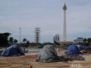 Dishut DKI: Rekomendasi Penebangan Pohon di Monas Sudah Keluar Dishut DKI: Rekomendasi Penebangan Pohon di Monas Sudah Keluar