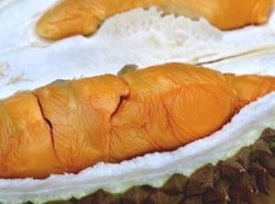 Kenali 5 Jenis Durian Populer di Dunia, Ada Monthong hingga Musang King