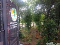 Sejak Kapan KLHK Punya Hutan Kota Serindang Ini?