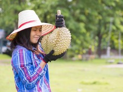 Mengapa Aroma Durian sangat Menyengat? Ini Penjelasannya