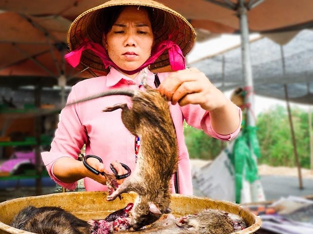Tak Hanya di Wuhan, 5 Pasar Tradisional Ini Juga Jual Berbagai Daging Hewan Liar