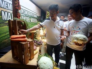 Mentan Optimis Cadangan Pangan Indonesia Melimpah