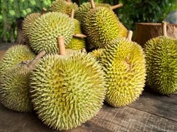 Kenyang Makan Durian di Sentra Durian Kalibata