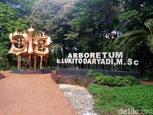 Mau Nyantai di Hutan Kota dekat Gedung DPR? Ini Tipsnya Mau Nyantai di Hutan Kota dekat Gedung DPR? Ini Tipsnya