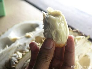 Serbu Yuk! Ini 7 Sentra Durian Terkenal di Jakarta dan Sekitarnya Serbu Yuk! Ini 7 Sentra Durian Terkenal di Jakarta dan Sekitarnya