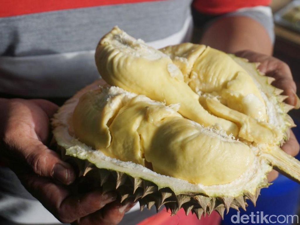 Menikmati Manis Legit Durian Monthong di Pinggir Kota Bogor