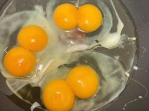 Kejadian Super Langka, Wanita Ini Temukan 7 Telur dengan Kuning Ganda