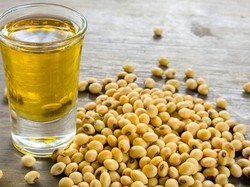 Jokowi Larang Ekspor Sawit, Eropa Ketar-ketir Harga Minyak Kedelai Meroket