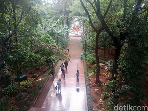 Kata Traveler tentang Hutan Kota KLHK di Jakarta