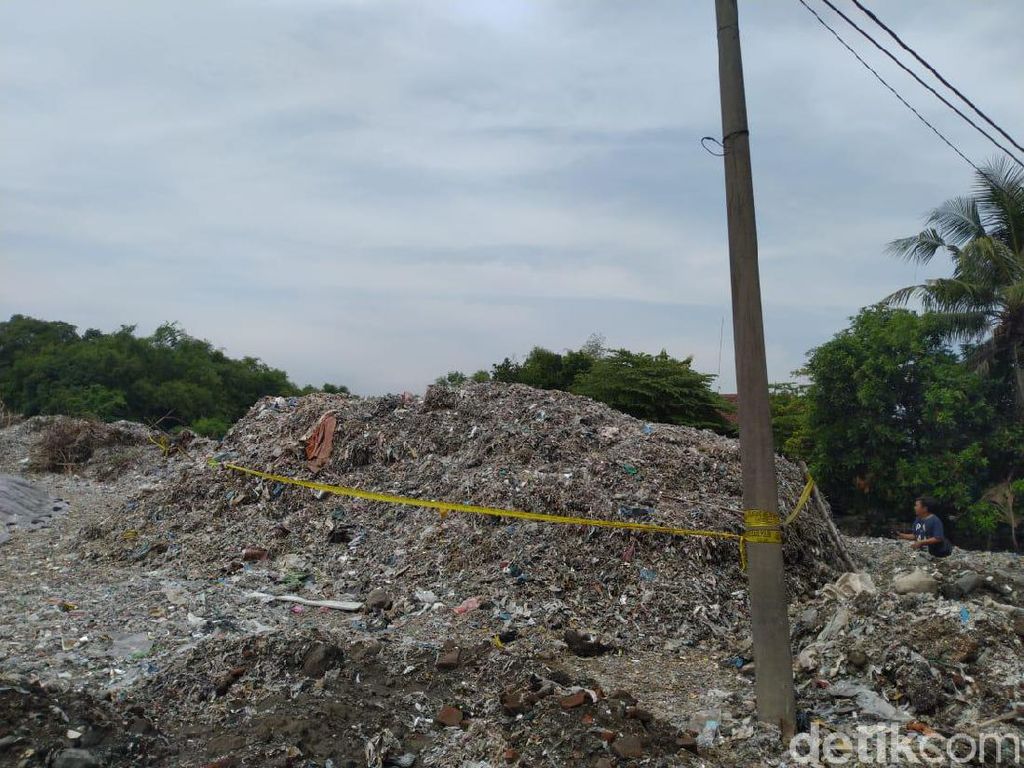 Ulat Pemakan Plastik Ini Disebut Bisa Bantu Berantas Sampah Dunia Ulat Pemakan Plastik Ini Disebut Bisa Bantu Berantas Sampah Dunia