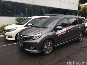 Produksi Disetop, Honda Masih Jual Mobilio: Ngabisin Stok! Produksi Disetop, Honda Masih Jual Mobilio: Ngabisin Stok!