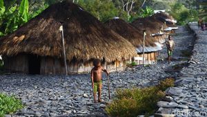 Rumah Adat Honai Khas Papua Terus Dilestarikan