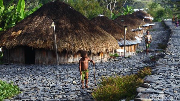 Rumah Adat Honai Khas Papua Terus Dilestarikan