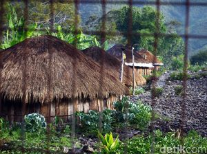Honai, Rumah Adat Papua dan Keunikannya Honai, Rumah Adat Papua dan Keunikannya
