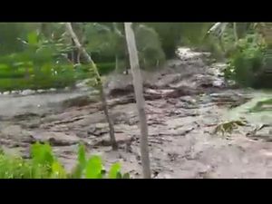 Sungai di Jember Meluap Bawa Sampah Kayu, Warga Khawatir Banjir Bandang