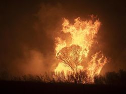 Antisipasi Karhutla, TNI Imbau Masyarakat Aceh Tak Bakar Hutan